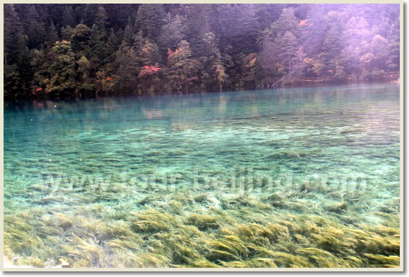 Jiuzhaigou Trip